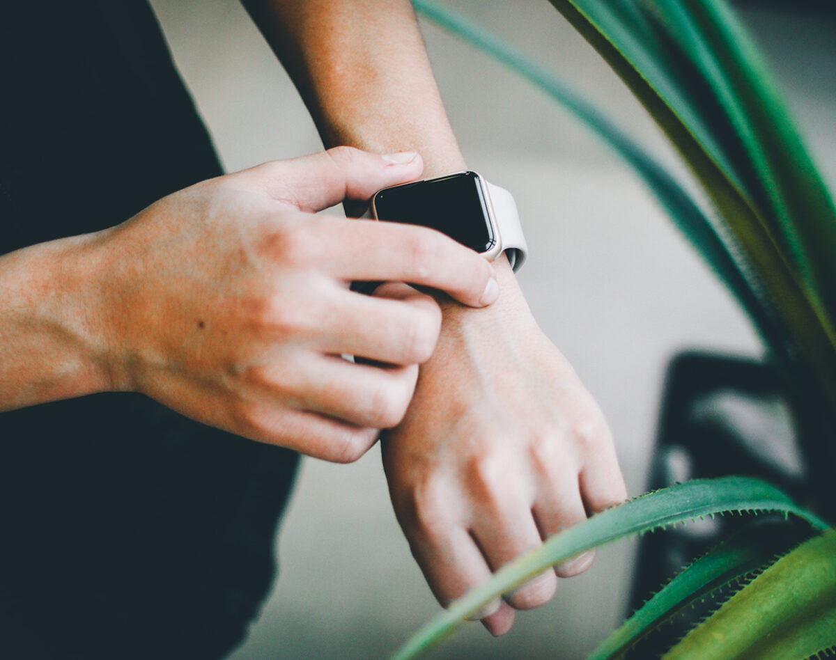 Dictum Felis sapien eget