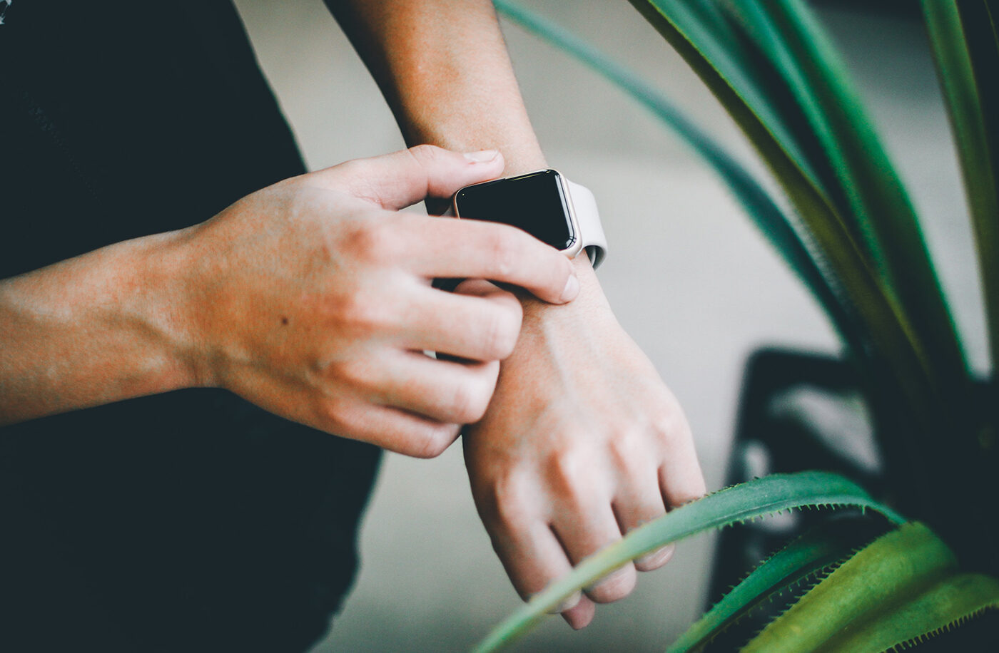 Risus Retium Tortor Met